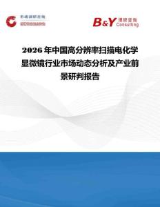 2026年中國高分辨率掃描電化學(xué)顯微鏡行業(yè)市場動態(tài)分析及產(chǎn)業(yè)前景研判報告