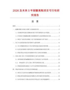 2026及未來(lái)5年耐酸高靴項(xiàng)目可行性研究報(bào)告