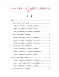 2026及未來5年皮內針項目可行性研究報告