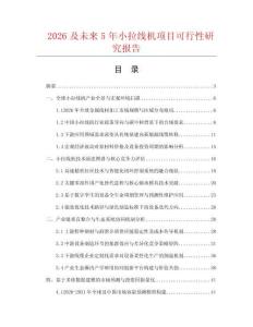 2026及未来5年小拉线机项目可行性研究报告