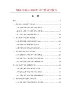 2026年彈力褲項目可行性研究報告
