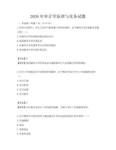 2026年審計學原理與實務試題