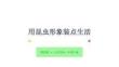 冀美版（2024）小學(xué)美術(shù)一年級下冊《用昆蟲形象裝點生活》教學(xué)課件