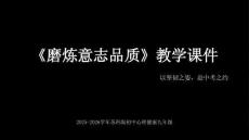 《磨煉意志品質》教學課件-2025-2026學年蘇科版初中心理健康九年級