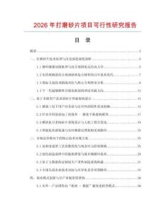 2026年打磨砂片項目可行性研究報告