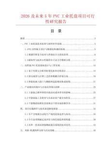 2026及未来5年PVC工业托盘项目可行性研究报告