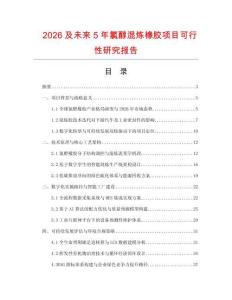 2026及未来5年氯醇混炼橡胶项目可行性研究报告