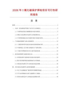 2026年二氧化碳保护焊枪项目可行性研究报告