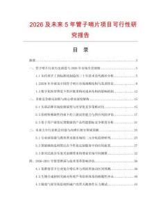 2026及未來5年管子哨片項目可行性研究報告