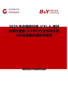 2025年中國碳纖維 (CF) & 碳纖維強化塑膠 (CFRP)行業(yè)市場全景分析及前景機遇研判報告