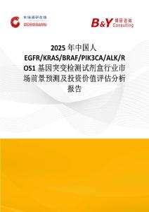 2025年中国人EGFR KRAS BRAF PIK3CA ALK ROS1基因突变检测试剂盒行业市场前景预测及投资价值评估分析报告