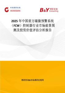 2025年中國前方碰撞預警系統(tǒng)（FCW）控制器行業(yè)市場前景預測及投資價值評估分析報告