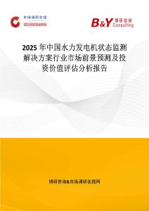 2025年中國水力發電機狀態監測解決方案行業市場前景預測及投資價值評估分析報告