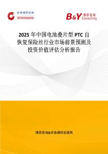 2025年中国电池叠片型PTC自恢复保险丝行业市场前景预测及投资价值评估分析报告