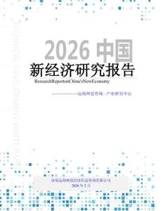 2026年中國新經濟研究報告