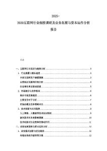 2025-2030互聯網行業細致調研及業務拓展與資本運作分析報告