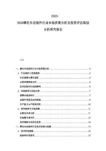 2025-2030摩托车改装件行业市场供需分析及投资评估规划分析研究报告