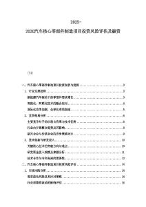 2025-2030汽車核心零部件制造項(xiàng)目投資風(fēng)險(xiǎn)評(píng)估及融資
