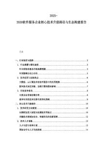 2025-2030软件服务企业核心技术升级路径与生态构建报告