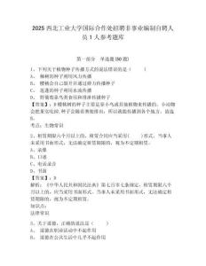 2025西北工业大学国际合作处招聘非事业编制自聘人员1人参考题库含答案详解（培优b卷）
