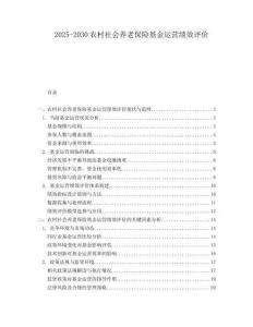 2025-2030農村社會養老保險基金運營績效評價