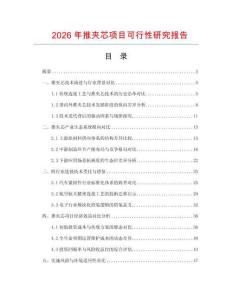 2026年推夾芯項目可行性研究報告