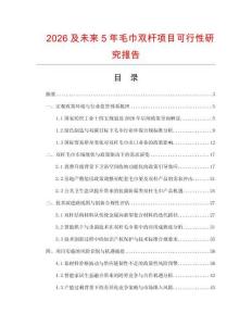 2026及未來5年毛巾雙桿項目可行性研究報告