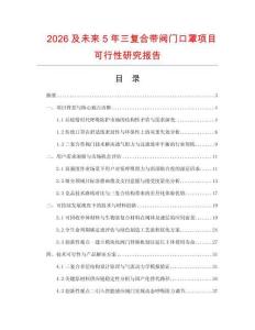 2026及未來5年三復合帶閥門口罩項目可行性研究報告