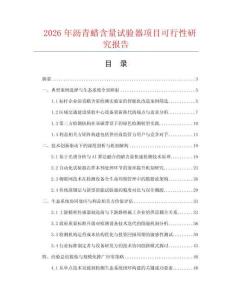2026年沥青蜡含量试验器项目可行性研究报告