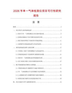 2026年单一气体检测仪项目可行性研究报告