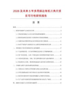 2026及未來5年多用斜邊有機三角尺項目可行性研究報告