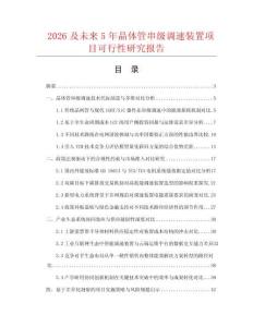 2026及未來5年晶體管串級(jí)調(diào)速裝置項(xiàng)目可行性研究報(bào)告