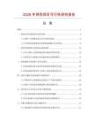 2026年球兜項目可行性研究報告