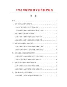 2026年球兜項(xiàng)目可行性研究報(bào)告