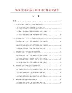 2026年芬布芬片項目可行性研究報告
