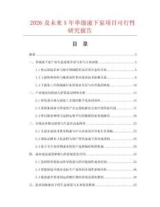 2026及未來5年單級液下泵項目可行性研究報告