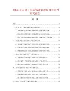 2026及未來5年防銹漆乳液項目可行性研究報告