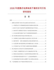 2026年便携式电焊条烘干箱项目可行性研究报告