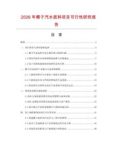 2026年椰子汽水底料项目可行性研究报告