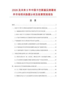 2026及未來5年中國卡巴斯基反病毒軟件市場現(xiàn)狀數(shù)據(jù)分析及前景預(yù)測報告