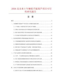 2026及未來5年棘輪手扳葫蘆項目可行性研究報告