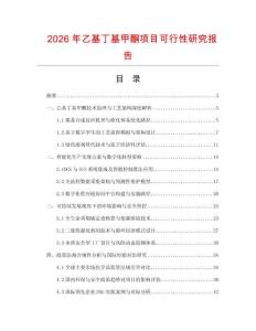 2026年乙基丁基甲酮項目可行性研究報告