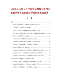 2026及未來5年中國帶狀熔接機專用充電器市場現狀數據分析及前景預測報告