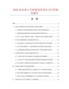 2026及未來5年輕鋼龍骨項目可行性研究報告