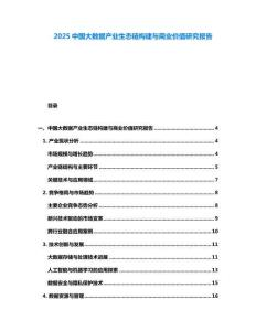 2025中國大數(shù)據(jù)產(chǎn)業(yè)生態(tài)鏈構(gòu)建與商業(yè)價值研究報告