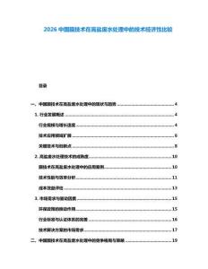 2026中国膜技术在高盐废水处理中的技术经济性比较
