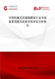 中国机械式活塞隔膜泵行业市场前景预测及投资价值评估分析报告