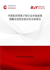 中國機用等離子炬行業市場前景預測及投資價值評估分析報告