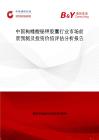 中国枸橼酸铋钾胶囊行业市场前景预测及投资价值评估分析报告