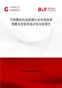 中国模块化连接器行业市场前景预测及投资价值评估分析报告